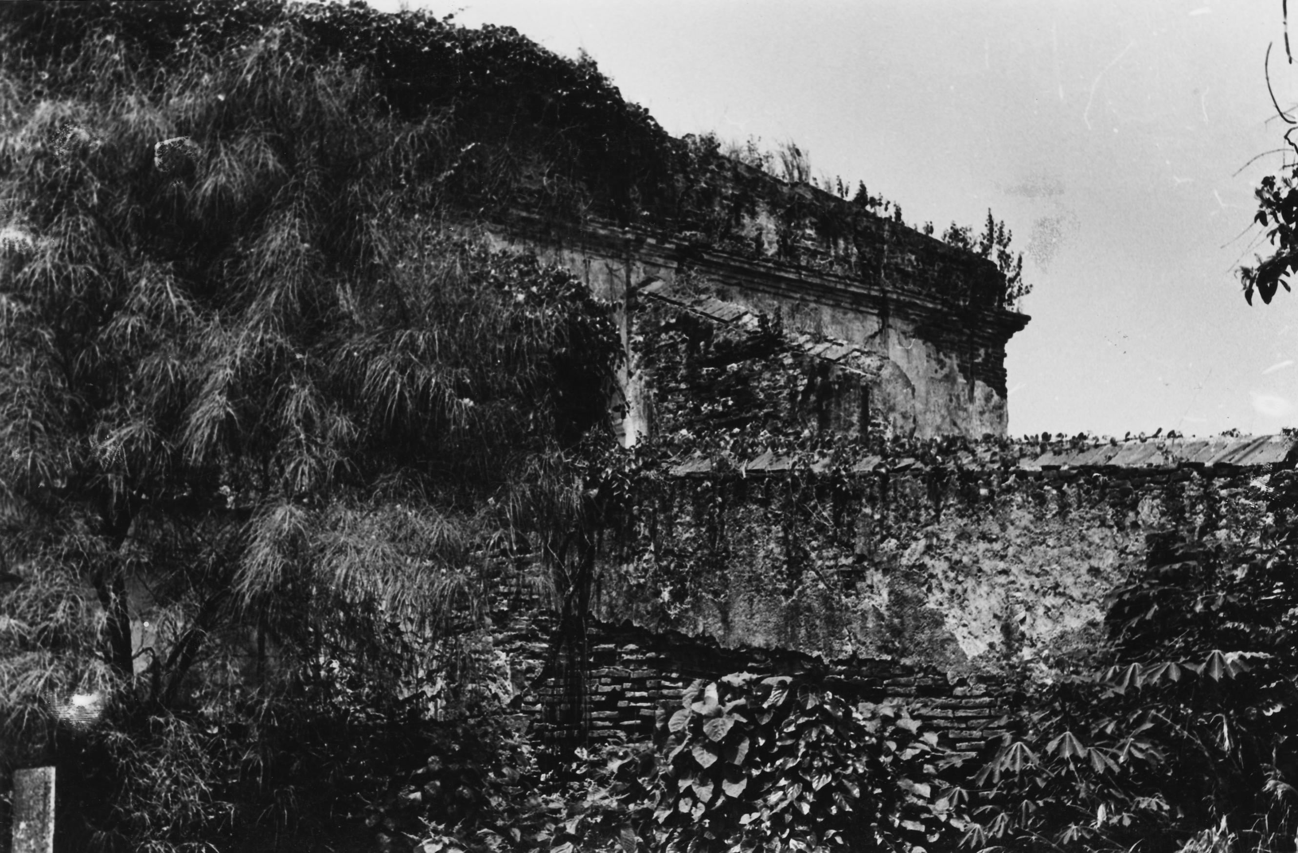 Hacienda Santa Elena - 83004662
